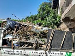 Best Foreclosure Cleanout  in Manitou Beach Devils Lake, MI