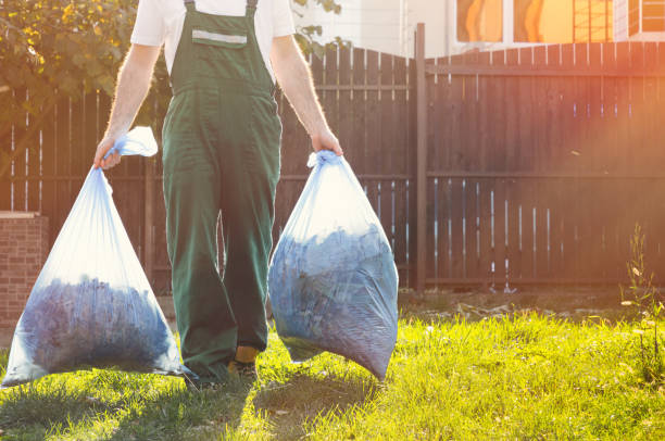Best Demolition Debris Removal  in Manitou Beach Devils Lake, MI